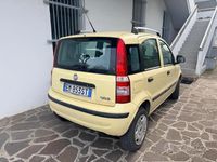 Usata Fiat Panda 77 CV (56 kW) 2012 Giallo Utilitaria