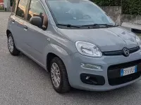 Usata Fiat Panda 69 CV (50 kW) 2018 Grigio Utilitaria