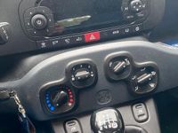 Usata Fiat Panda 4x4 S 85 CV (62 kW) 2018 Utilitaria