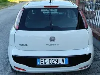 Usata Fiat Punto Evo 77 CV (56 kW) 2011 Bianco Utilitaria