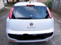 usata Fiat Punto Evo 1.3mj ok neopatentati