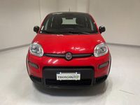 usata Fiat Panda 1.0 FireFly S&S Hybrid Sport - OK NEOPATENTATI