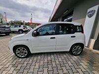 Usata Fiat Panda Easy 95 CV (69 kW) 2017 Bianco Utilitaria