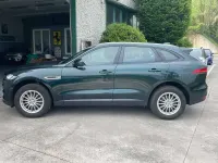 Brugt Jaguar F-Pace Pure 179 HK (131 kW) 2016 Grøn SUV