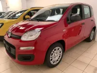 Usata Fiat Panda Icon 69 CV (50 kW) 2024 Blu Berlina
