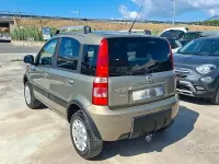 Usata Fiat Panda 4x4 69 CV (50 kW) 2011 Beige Utilitaria
