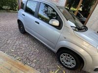 Usata Fiat Panda Easy 69 CV (50 kW) 2018 Argento Utilitaria