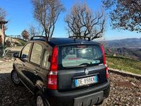 Usata Fiat Panda 4x4 Climbing 60 CV (44 kW) 2006 Utilitaria