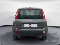 Usata Fiat Panda Easy 70 CV (51 kW) 2021 Grigio Utilitaria