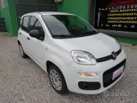 Usata Fiat Panda Easy 69 CV (50 kW) 2019 Bianco Utilitaria