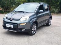 Usata Fiat Panda 4x4 S 95 CV (69 kW) 2018 Grigio Utilitaria