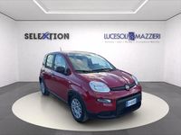 Usata Fiat Panda 70 CV (51 kW) 2024 Rosso Utilitaria
