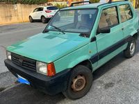 Usata Fiat Panda 4x4 50 CV (36 kW) 2001 Verde Utilitaria