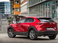Usata Mazda CX-30 Homura-Line 140 CV (102 kW) 2024 Argento SUV