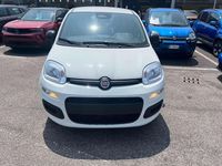 Nuova Fiat Panda S 70 CV (51 kW) 2025 Bianco Utilitaria
