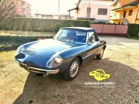 Usata Alfa Romeo Spider 109 CV (80 kW) 1966 Grigio Cabrio