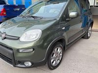 Usata Fiat Panda 4x4 S 75 CV (55 kW) 2015 Verde Utilitaria