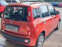 Usata Fiat Panda Easy 69 CV (50 kW) 2013 Rosso Utilitaria