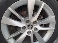Usata Skoda Octavia G-TEC Executive 110 CV (80 kW) 2017 Station wagon