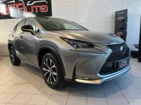Usata Lexus NX300h Sport Line 155 CV (114 kW) 2015 Grigio SUV