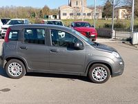 Usata Fiat Panda S 69 CV (50 kW) 2023 Grigio Berlina