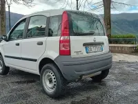 Usata Fiat Panda 4x4 60 CV (44 kW) 2006 Bianco Utilitaria