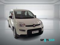 Usata Fiat Panda S 70 CV (51 kW) 2025 Bianco Utilitaria