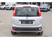 usata Fiat Panda 1.2 lounge s&s 69cv my19