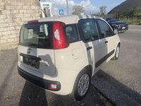 Usata Fiat Panda Easy 69 CV (50 kW) 2016 Other Utilitaria