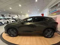 Usata Lexus NX200t Luxury Line 309 CV (227 kW) 2023 Verde SUV