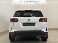 Usata Citroën C5 130 CV (95 kW) 2023 Bianco SUV