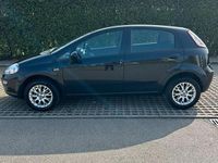 Usata Fiat Punto Evo 78 CV (57 kW) 2011 Nero Utilitaria