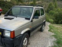 Usata Fiat Panda 4x4 Trekking 54 CV (39 kW) 1998 Utilitaria