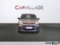 Usata Fiat Panda S 70 CV (51 kW) 2022 Grigio Utilitaria