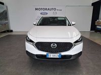 usata Mazda CX-30 Skyactiv-G M Hybrid 2WD Executive del 2021 usata a Arezzo