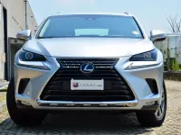 Usata Lexus NX300h Business Edition 197 CV (144 kW) 2019 SUV