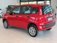 Usata Fiat Panda Easy 70 CV (51 kW) 2019 Rosso Utilitaria