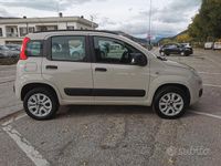 Usata Fiat Panda 85 CV (62 kW) 2013 Beige Utilitaria