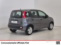 Usata Fiat Panda Easy 69 CV (50 kW) 2019 Grigio Utilitaria