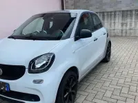 Usata Smart ForFour Prime 71 CV (52 kW) 2015 Bianco Utilitaria