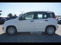 Usata Fiat Panda 70 CV (51 kW) 2024 Bianco divino Utilitaria