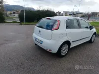 Usata Fiat Punto 75 CV (55 kW) 2014 Bianco Utilitaria