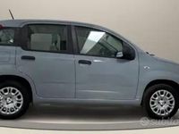 Usata Fiat Panda 70 CV (51 kW) 2021 Grigio Utilitaria