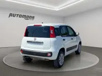Usata Fiat Panda 4x4 84 CV (61 kW) 2020 Bianco Utilitaria
