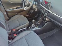 Usata Kia Picanto X-Line 67 CV (49 kW) 2020 Rosso Utilitaria