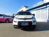 usata Fiat Panda 1.0 FireFly S&S Hybrid City Life