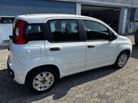 Usata Fiat Panda Lounge 95 CV (69 kW) 2016 Bianco Utilitaria