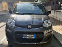 Usata Fiat Panda Easy 69 CV (50 kW) 2020 Grigio Utilitaria