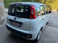 Usata Fiat Panda Easy 69 CV (50 kW) 2018 Bianco Berlina