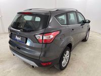 usata Ford Kuga 1.5 tdci plus s&s 2wd 120cv my18